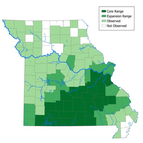 Missouri bear population grows by 9% - Expands range near St. Louis